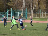 IMG_8595